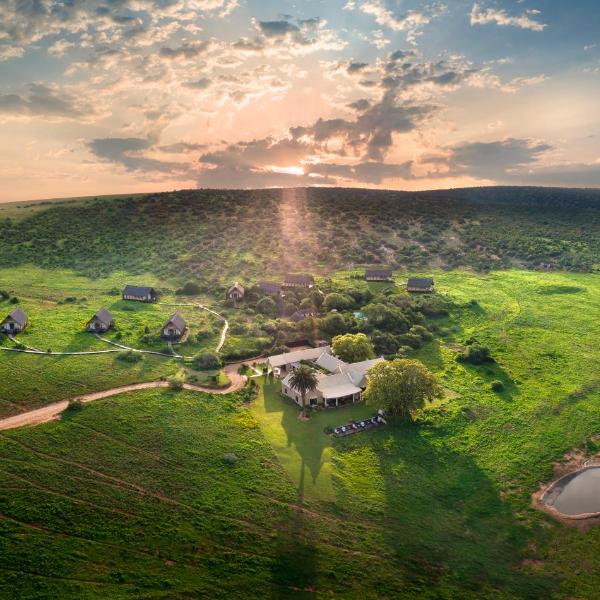 Hotels in Addo Elephant