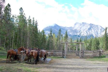 Abraham Lake | Rondreis Canada