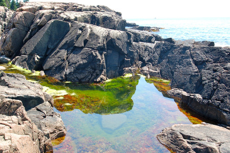 Acadia