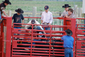 Bryce Canyon Rodeo | Rondreis Zuidwest Amerika