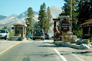 Tiogapass Yosemite | Rondreis Zuidwest Amerika
